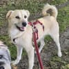 SOFY * freudig hopsend ab ins Herz