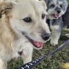 SOFY * freudig hopsend ab ins Herz