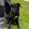 Petra sucht Familienanschluss