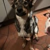 Elsa sucht ihr zu Hause