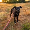 Elsa 9 Jahre 40 cm