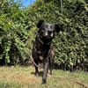 Elsa 9 Jahre 40 cm