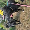 Elsa 9 Jahre 40 cm