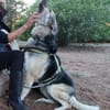 Janno - Menschen mit Erfahrung gesucht