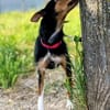 Heidi eine kleine Persönlichkeit