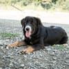 Unsere liebe Elmina sucht ein Zuhause