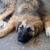 Lilù wünscht sich eigene Familie
