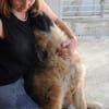 Lilù wünscht sich eigene Familie
