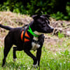 ULYSSA (réservé)
