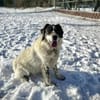 Dankbare Hedwig sucht ihre Menschen
