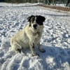 Dankbare Hedwig sucht ihre Menschen