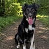 Carla - ländliches Zuhause gesucht