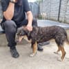 Seniorin sucht Senioren/in