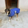 Seniorin sucht Senioren/in