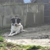 Unser schüchterner Kalli wartet auf sein persönliches Glück