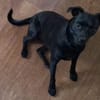 Tommy, Neuanfang gesucht