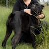 Bono sucht Dich