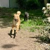 Bono sucht Dich