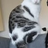 Oliver und Simon sind Scheidungskinder und müssen