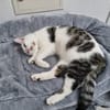 Oliver und Simon sind Scheidungskinder und müssen