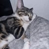 Oliver und Simon sind Scheidungskinder und müssen