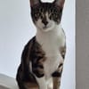 Oliver und Simon sind Scheidungskinder und müssen