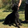 Leyla - auf der Suche nach ihrem Glück