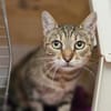 Seniorin IDA sucht Zuhause