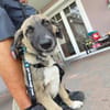 Ilay - sucht seine Familie - bist du es ?