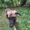 Ilay - sucht seine Familie - bist du es ?