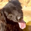 BOOMER (Maria)