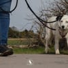 liebe, freundliche Seniorin CARLA
