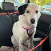 liebe, freundliche Seniorin CARLA