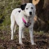liebe, freundliche Seniorin CARLA