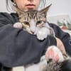 Schüchterne liebe Mica sucht liebes Heim