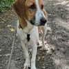 Die liebe Olga sucht ihre Familie