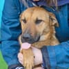 Maxi ❤Vom Tierheim ins Leben