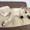 YUNA SUCHT NEUES ZUHAUSE