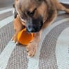 MUSTI * sportlicher Wanderbegleiter