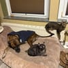 MORTI & LOKI