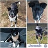 JONAH -sucht erfahrene Menschen-
