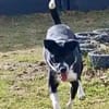 JONAH -sucht erfahrene Menschen-