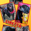 kleine sehr liebe Linetta auf PS in 92278