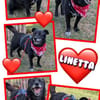 kleine sehr liebe Linetta auf PS in 92278