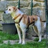 LOVELYN -sucht erfahrene Menschen-