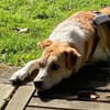 LOVELYN -sucht erfahrene Menschen-