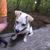 Bubi1, der Aktive, sucht aktive Menschen für immer