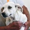 Ombretta sucht Familienanschluss