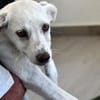 Ombretta sucht Familienanschluss