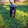 Paty, la super jeune mamie